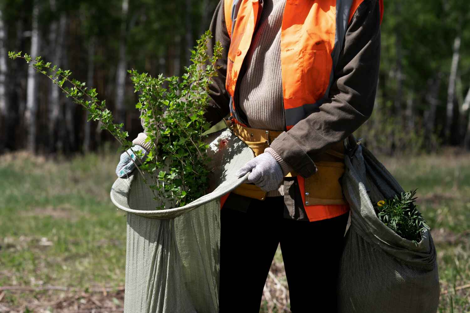 Best Residential Tree Removal  in USA